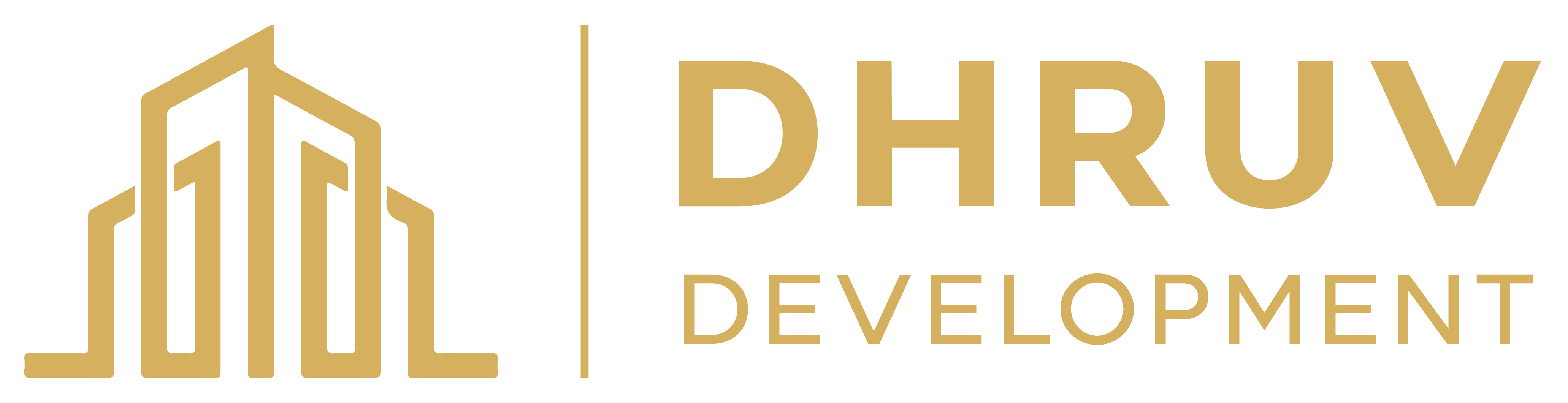 DHRUV DEVELOPERS logo