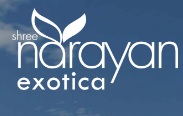 builder logo