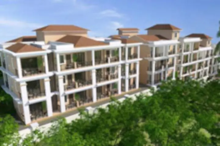 Acasia Greens - Socorro