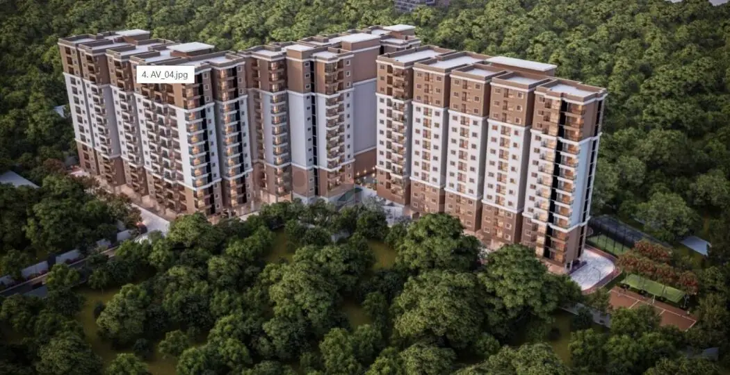 Candeur Novo Gardenia
