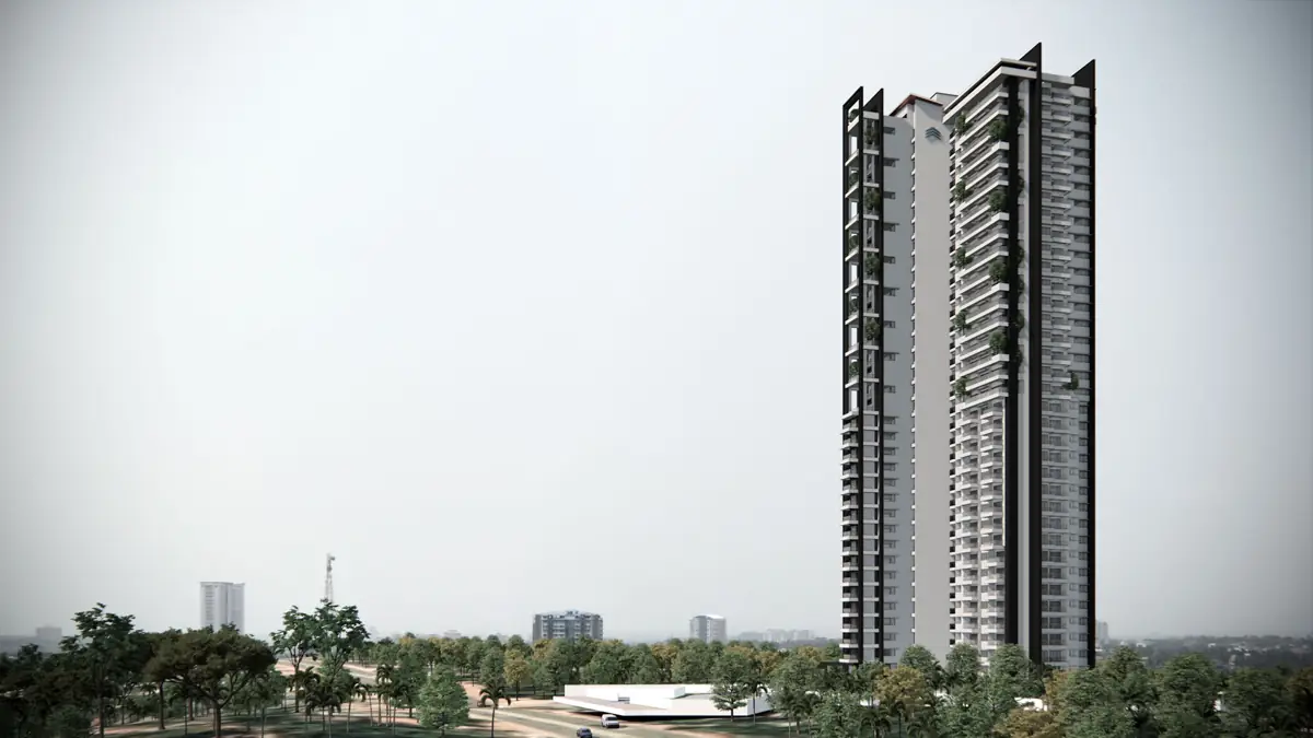 Northernsky Excelsa