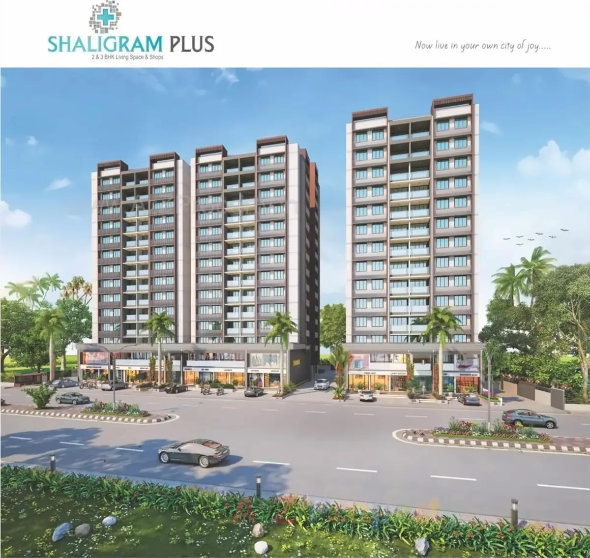 Shaligram Plus