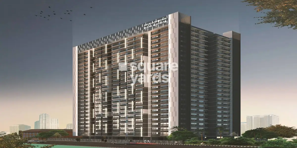 Shraddha Palladium