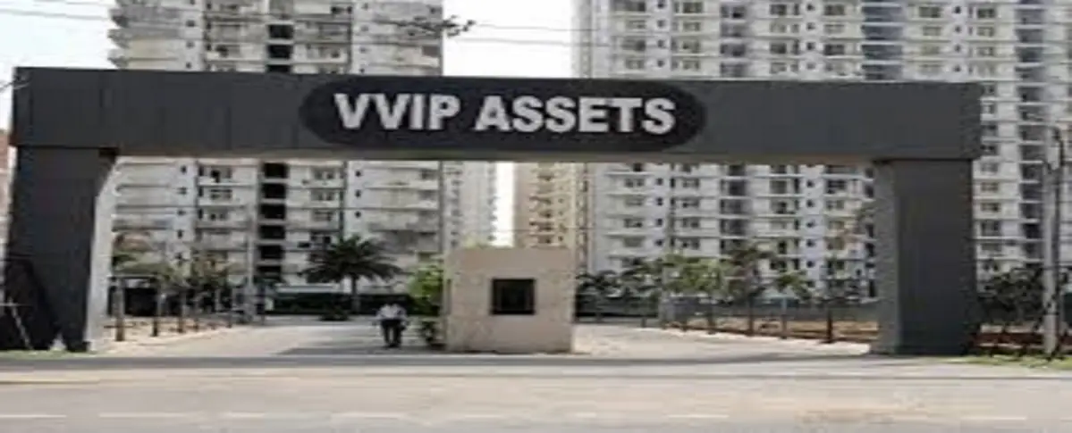 Vvip Asset